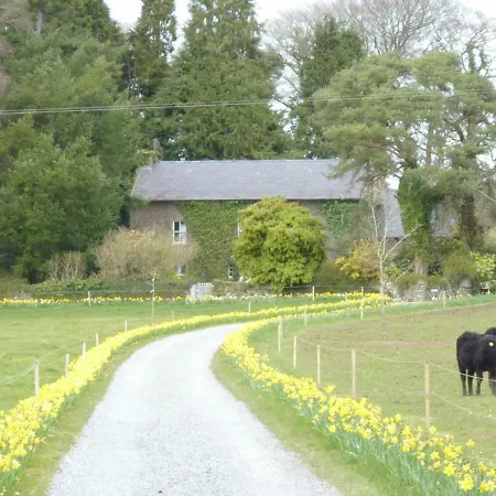 Cullintra House ニュー・ロス