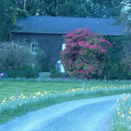 Cullintra House * New Ross