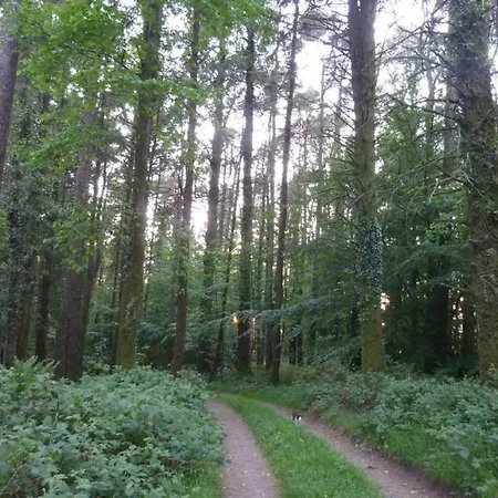 Cullintra House בית כפרי ניו רוס