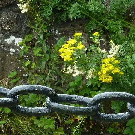 בית כפרי Cullintra House *