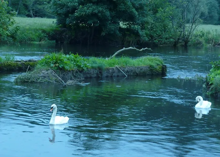 Cullintra House Venkovský dům New Ross