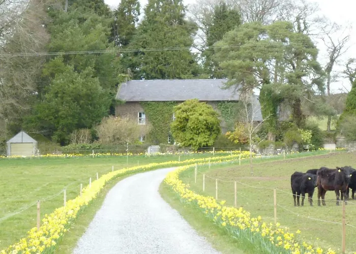 Cullintra House New Ross