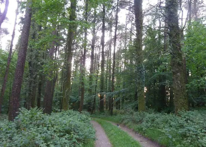 Cullintra House Landsted New Ross