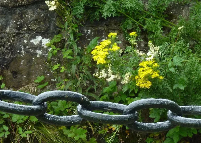 Venkovský dům Cullintra House *